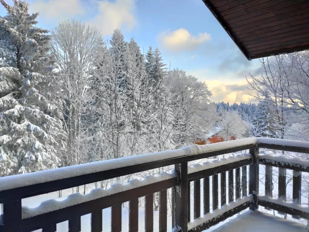 Vue depuis le balcon sur la forêt enneigée