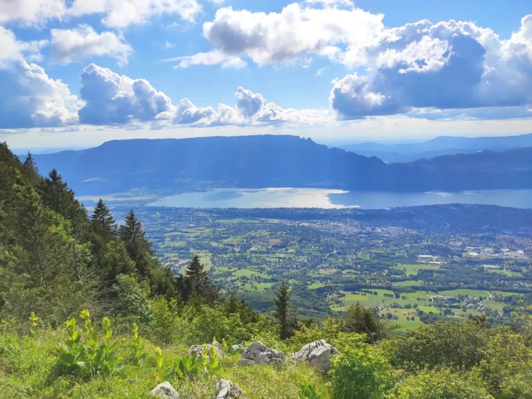 Le lac du Bourget en été
