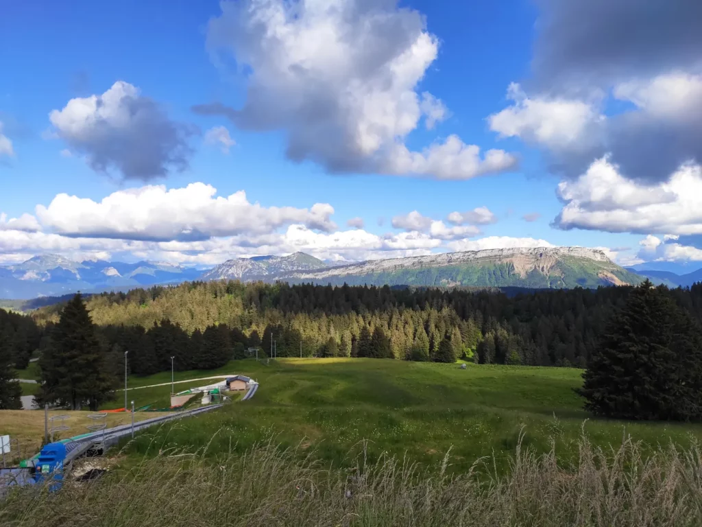 Summer meadow and forest on the Le Revard plateau, facing the Bauges mountains