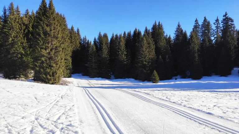Traces de ski de fond au soleil